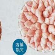 ヒメ日記 2025/01/26 02:43 投稿 みさと 五反田・品川おかあさん