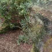 ヒメ日記 2025/02/01 17:53 投稿 みさと 五反田・品川おかあさん