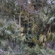 ヒメ日記 2025/02/16 07:17 投稿 みさと 五反田・品川おかあさん