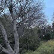 ヒメ日記 2025/02/16 07:20 投稿 みさと 五反田・品川おかあさん