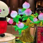 ヒメ日記 2025/02/19 02:03 投稿 みさと 五反田・品川おかあさん