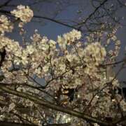 ヒメ日記 2025/03/27 22:53 投稿 みさと 五反田・品川おかあさん