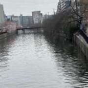 ヒメ日記 2025/03/28 21:53 投稿 みさと 五反田・品川おかあさん