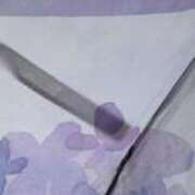 ヒメ日記 2025/03/30 02:13 投稿 みさと 五反田・品川おかあさん