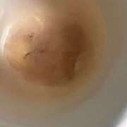 ヒメ日記 2025/04/02 00:57 投稿 みさと 五反田・品川おかあさん