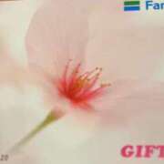 ヒメ日記 2025/04/09 01:33 投稿 みさと 五反田・品川おかあさん