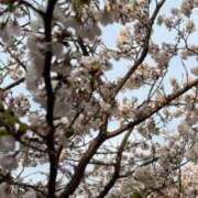 ヒメ日記 2025/04/11 00:03 投稿 みさと 五反田・品川おかあさん