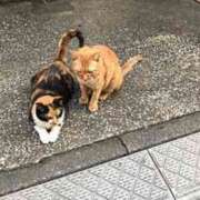 ヒメ日記 2025/04/29 00:33 投稿 みさと 五反田・品川おかあさん