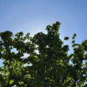 ヒメ日記 2025/05/04 00:03 投稿 みさと 五反田・品川おかあさん