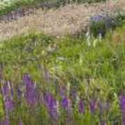 ヒメ日記 2025/05/12 23:53 投稿 みさと 五反田・品川おかあさん