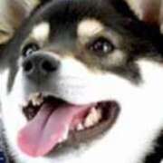 ヒメ日記 2025/05/13 02:43 投稿 みさと 五反田・品川おかあさん