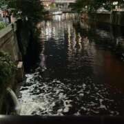 ヒメ日記 2025/05/19 00:13 投稿 みさと 五反田・品川おかあさん