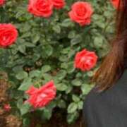 ヒメ日記 2025/05/30 00:58 投稿 みさと 五反田・品川おかあさん