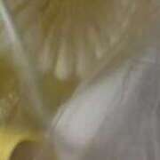 ヒメ日記 2025/09/08 23:43 投稿 みさと 五反田・品川おかあさん