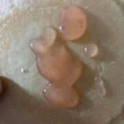 ヒメ日記 2025/09/27 22:13 投稿 みさと 五反田・品川おかあさん