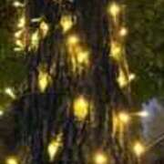 ヒメ日記 2025/12/13 02:23 投稿 みさと 五反田・品川おかあさん