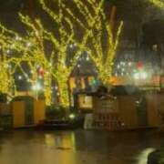 ヒメ日記 2025/12/17 23:43 投稿 みさと 五反田・品川おかあさん