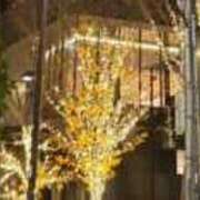 ヒメ日記 2025/12/19 21:53 投稿 みさと 五反田・品川おかあさん