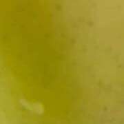 ヒメ日記 2025/12/20 01:53 投稿 みさと 五反田・品川おかあさん