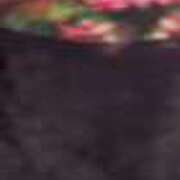 ヒメ日記 2026/01/02 16:33 投稿 みさと 五反田・品川おかあさん