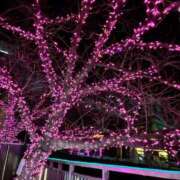 ヒメ日記 2026/01/19 20:23 投稿 みさと 五反田・品川おかあさん