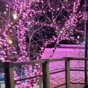 ヒメ日記 2026/01/26 23:17 投稿 みさと 五反田・品川おかあさん