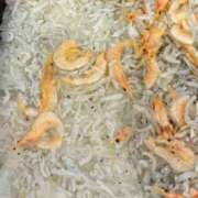 ヒメ日記 2026/02/06 22:33 投稿 みさと 五反田・品川おかあさん