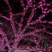 ヒメ日記 2026/02/16 23:43 投稿 みさと 五反田・品川おかあさん