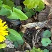 ヒメ日記 2026/03/06 18:53 投稿 みさと 五反田・品川おかあさん