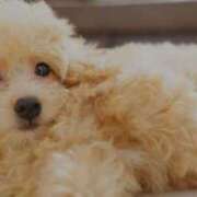 ヒメ日記 2026/03/06 18:57 投稿 みさと 五反田・品川おかあさん