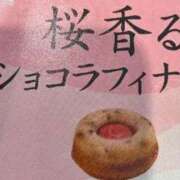 ヒメ日記 2026/03/15 00:08 投稿 みさと 五反田・品川おかあさん