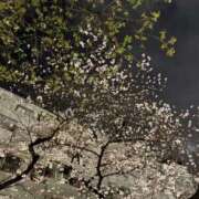 ヒメ日記 2026/03/27 23:13 投稿 みさと 五反田・品川おかあさん