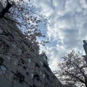 ヒメ日記 2026/03/28 23:33 投稿 みさと 五反田・品川おかあさん