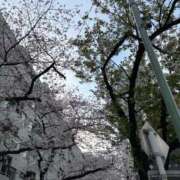 ヒメ日記 2026/04/02 00:03 投稿 みさと 五反田・品川おかあさん