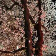 ヒメ日記 2026/04/04 00:03 投稿 みさと 五反田・品川おかあさん