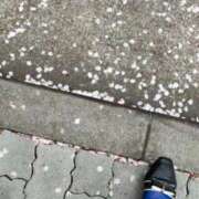 ヒメ日記 2026/04/05 14:13 投稿 みさと 五反田・品川おかあさん