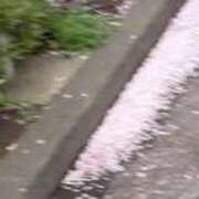 ヒメ日記 2026/04/07 23:26 投稿 みさと 五反田・品川おかあさん