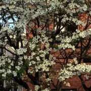 ヒメ日記 2026/04/12 23:33 投稿 みさと 五反田・品川おかあさん