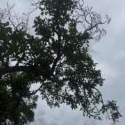 ヒメ日記 2025/05/27 14:20 投稿 岡本★ Club夢