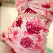 ヒメ日記 2026/03/08 07:00 投稿 岡本★ Club夢