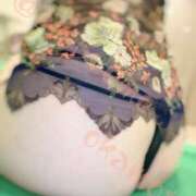 ヒメ日記 2026/04/09 07:01 投稿 岡本★ Club夢