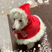 ヒメ日記 2024/12/24 22:26 投稿 泉川★ Club夢