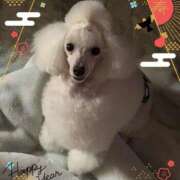 ヒメ日記 2025/01/01 17:22 投稿 泉川★ Club夢