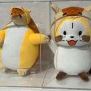 ヒメ日記 2026/01/29 14:06 投稿 泉川★ Club夢