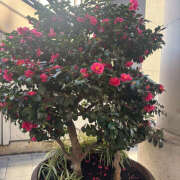 ヒメ日記 2026/02/03 10:07 投稿 後藤 鶯谷ワンハート