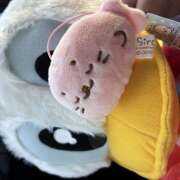 ヒメ日記 2026/03/03 10:01 投稿 後藤 鶯谷ワンハート