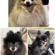 ヒメ日記 2025/01/29 16:03 投稿 飯島 鶯谷ワンハート