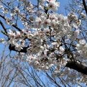 ヒメ日記 2025/05/01 10:08 投稿 飯島 鶯谷ワンハート