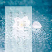 ヒメ日記 2025/04/01 11:13 投稿 みさ 熟女の風俗最終章 宇都宮店