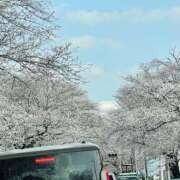 ヒメ日記 2025/04/05 17:02 投稿 みさ 熟女の風俗最終章 宇都宮店